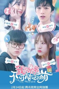 �ҵ��ֵܲ�������ô��