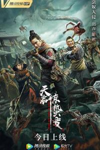 ���������ݱ�